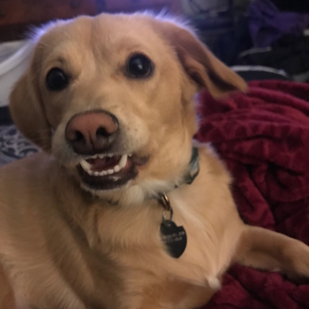 Meet your Posher, Mely